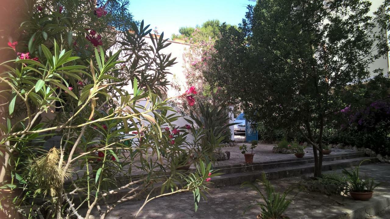B&B Villa Il Carrubo San Vito Lo Capo Bagian luar foto