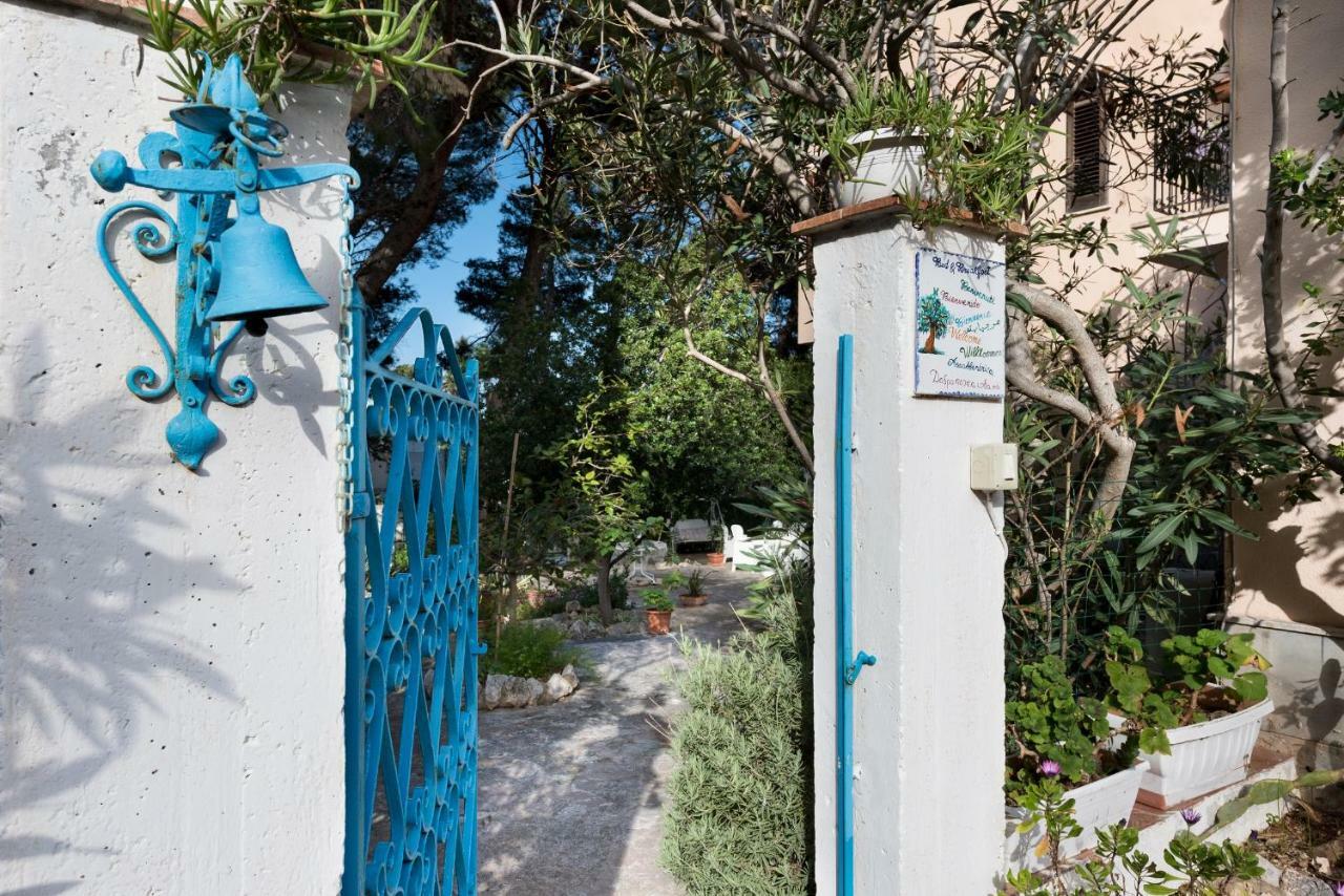 B&B Villa Il Carrubo San Vito Lo Capo Bagian luar foto